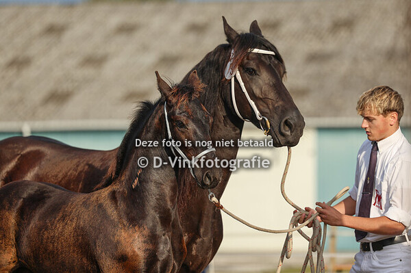 03. Ferrero M van Rijnsbergen