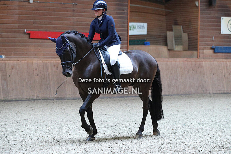 PV Midland Dressuur 08-10-2023 Pony's B t/m M2