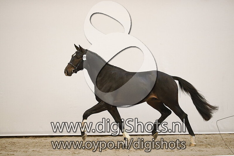 Magic to to DBI v. Glocks Toto Jr