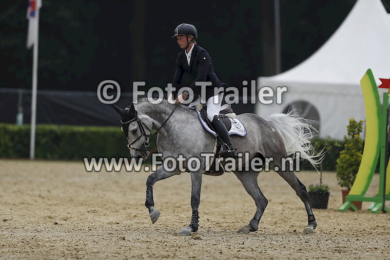 Dennis van den Brink