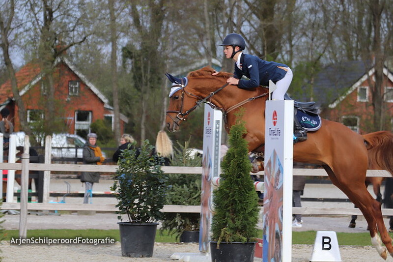 Tolbert 11-04-2019 Pony's