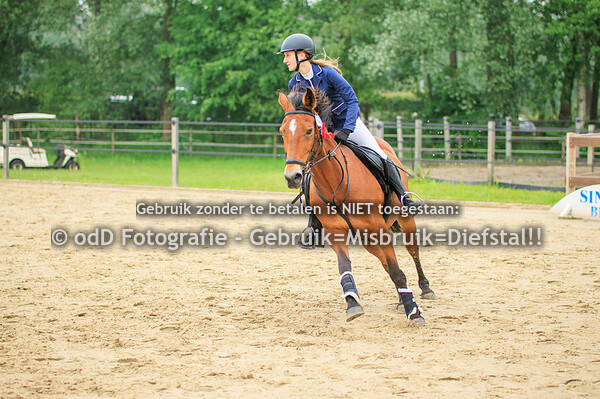 CH Manege Sintels Pony 60-70 cde 19-05-24