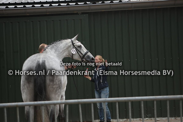 171 Halona-Piers Totilas x valuta v. Uniform x variant x Manza Buitenzorg)