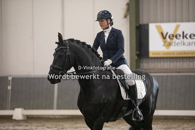 12. Hoppe van de Demro Stables