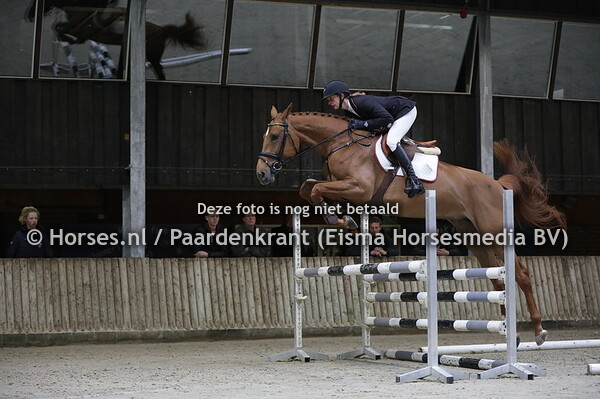 12 Mckinley (Carrera VDL x Alcira v.Indoctro) Hermien de Weerd