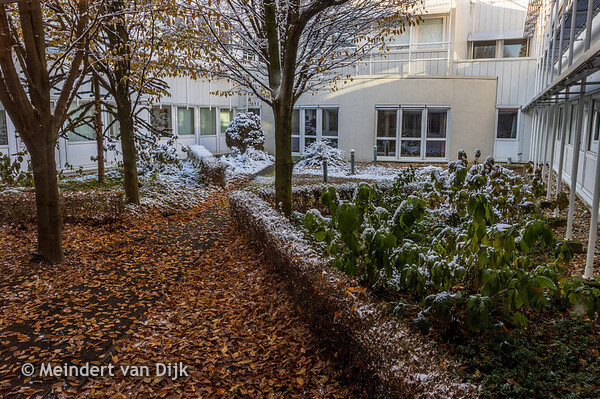 MCL - tuinen bij Dialysecentrum