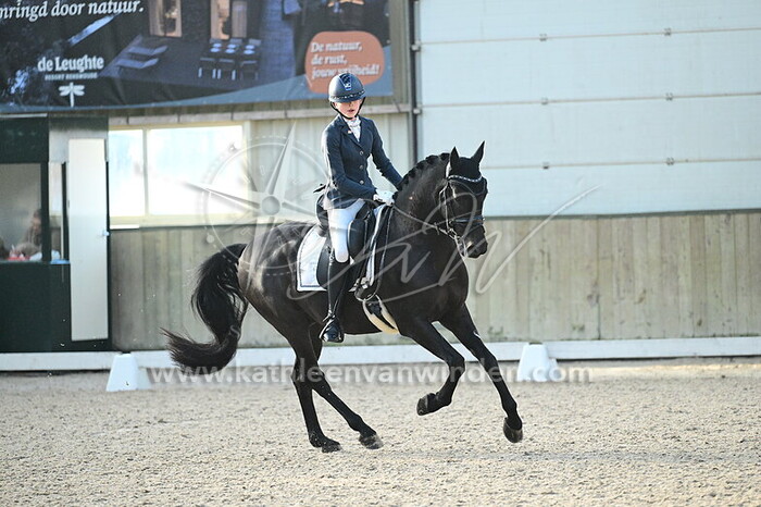 Maddy Pessel - Rey Negro