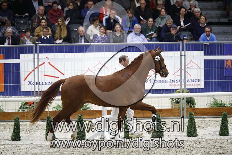 Lamborghini v. High Five U.S