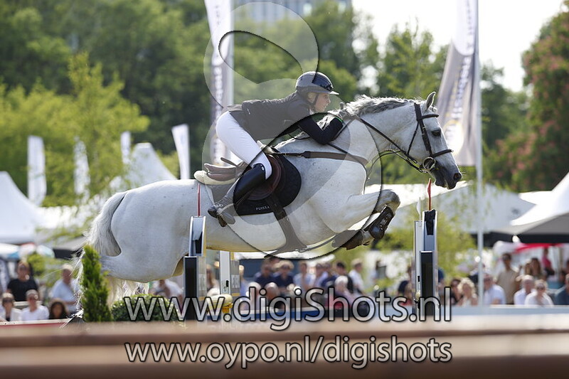 Guidam's Willow The Second