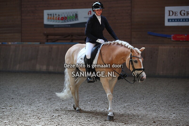 PV Midland Haflingerwedstrijd 19-04-2025 Dressuur vóór pauze