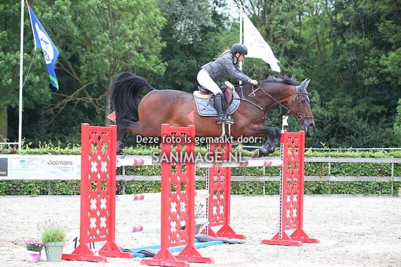 Zilfia's Hoeve Springen Paarden 05-07-2024 130/135 cm