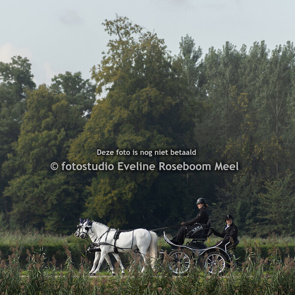 NK SGMW Neerijnen 5-9-2025 - dressuur