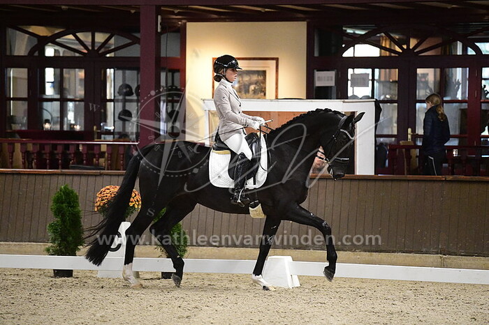 Senna van de Gevel - Noir Vrouwe