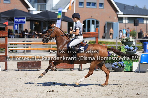 595 Knud van Orchid's