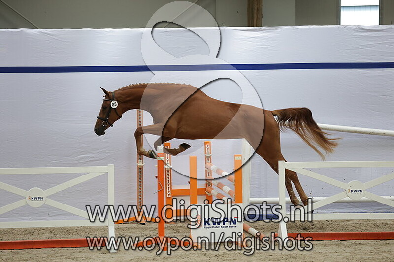 Seline v. Mees vd Watermolen