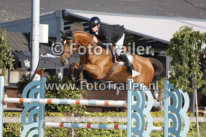 dennis van den brink