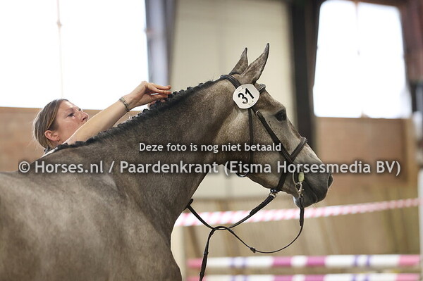 31 Loriana Blue FZ (Zirocco Blue x Oriana v. Harley)