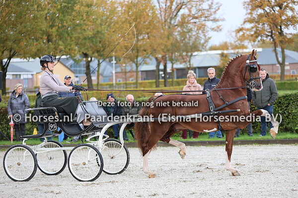 25-10-2025 Tuigpaard VO examen Ermelo