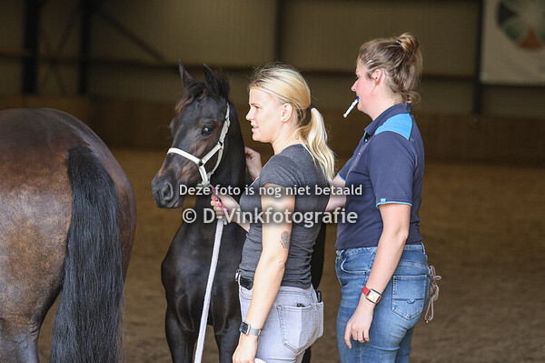 16. Frauke van de Lokven Hoeve