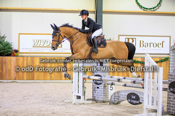 Jumping Indoor Leunen Paarden 95cm oefenparcours 06-01-23