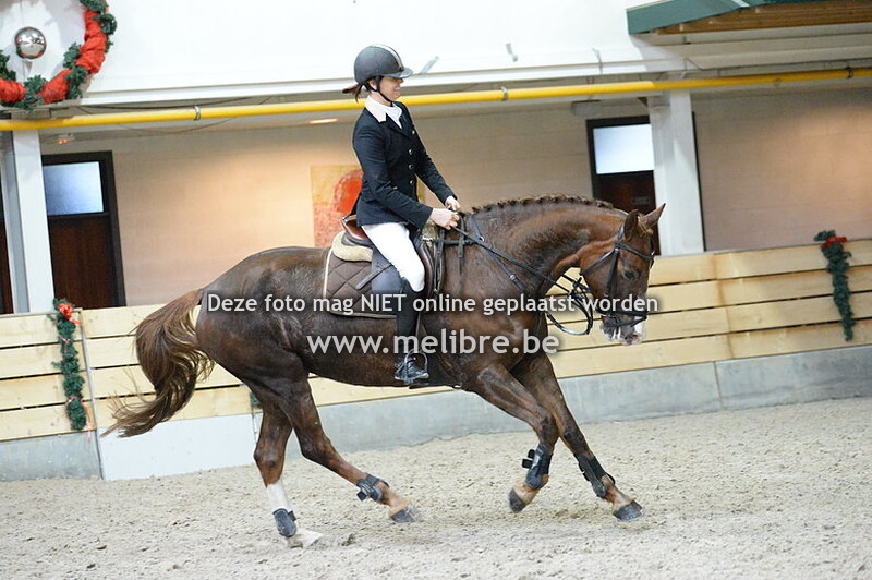 Nieuwjaarsjumping De Warre -ZON- Finale 95cm