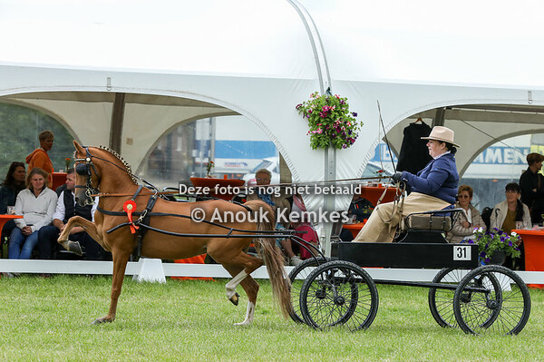 Hackneys Lage Limiet