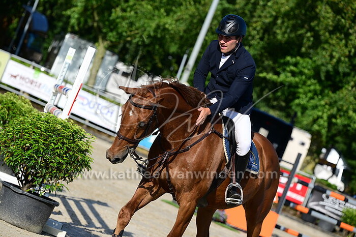 Quinten van Daele - Noodle