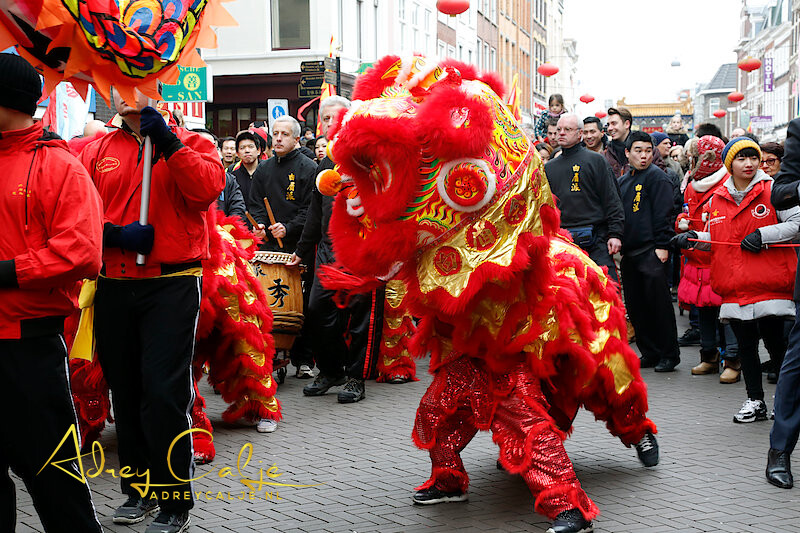 Viering Chinees Nieuwjaar Den Haag 2016