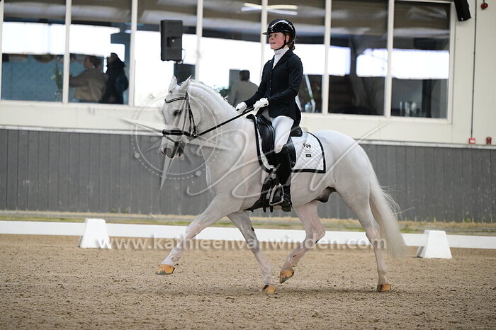 Feline Holdinga - Renoir