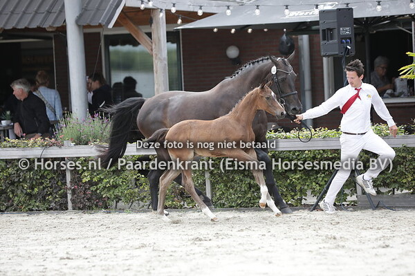 89 Sonic (New Pleasure x Domine v. Numero Uno)