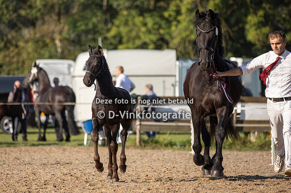 11. Brutes van de Rugdijk