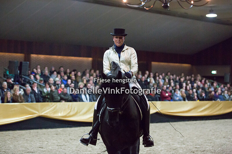 Hengstenshow Lunteren 24-02-2018 Stendert 447