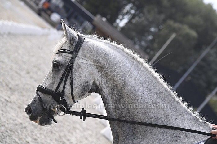 Tabitha van de Graaf