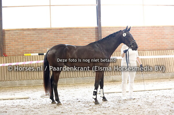 8 Special Terra (So  Perfect x Nip Terra v.Rubin Royal)