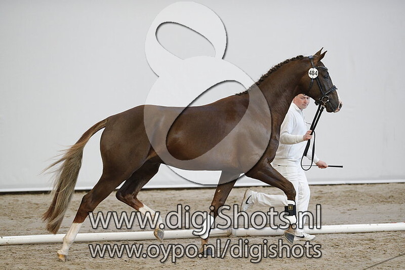 Mazzeltov v. Hometown