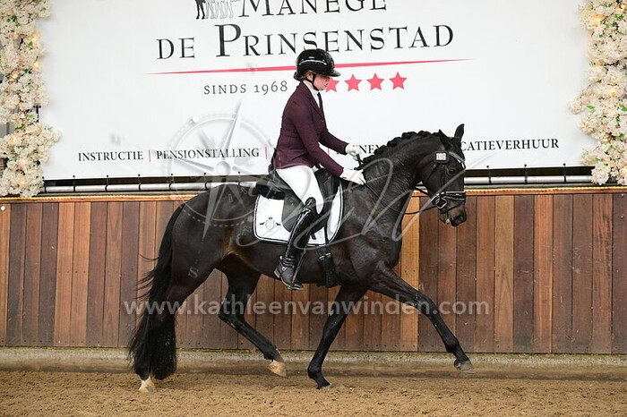 Iris Hoekstra - Salsa