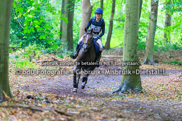 Eventing Lisse paard B pony L 20-09-25