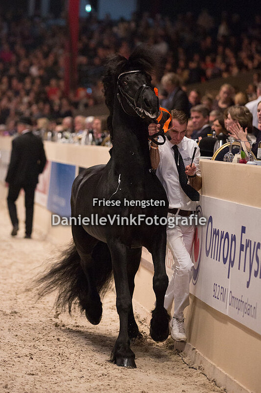 Hengstenkeuring 2018 Eise 489