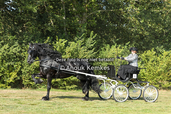 Friezen Dames Kampioenschap