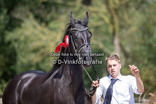 30. Troja Ide vd Arebo Hoeve