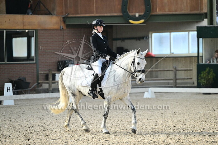 Chelsey Koning - Prince Charming