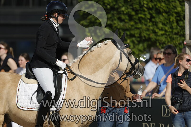 Biesbosschen Dolino EC