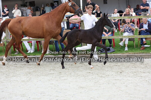 128 Victorian Secret (Secret USB x Hanninde v. Bretton Woods)