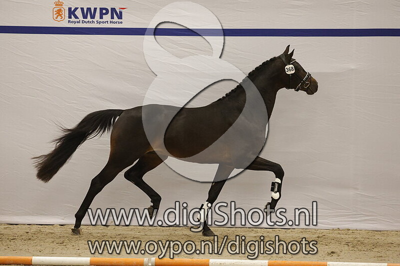 Sir John v. Glamourdale