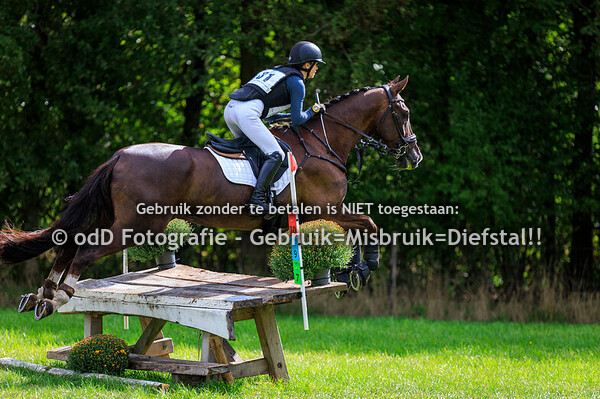 sgw bollert brons paard l pony m 13-09-25