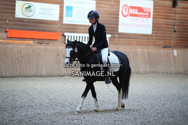 PV Midland Dressuur 22-11-2025 13.00 uur