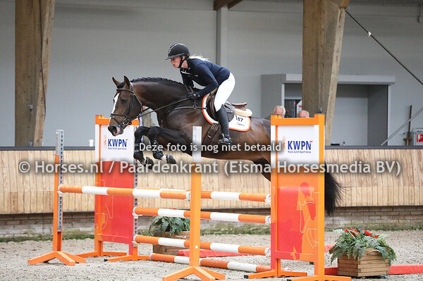 24-05-2022 KWPN voorjaarsonderzoek 2022 springhengsten en Gelder tussenbeoordeling