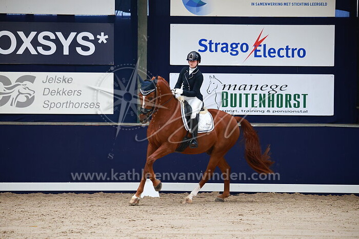 Nicole Kimenai - Skydancer