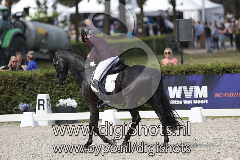 Ring 6 Klasse Z2 paarden vanaf 14.31 (041)