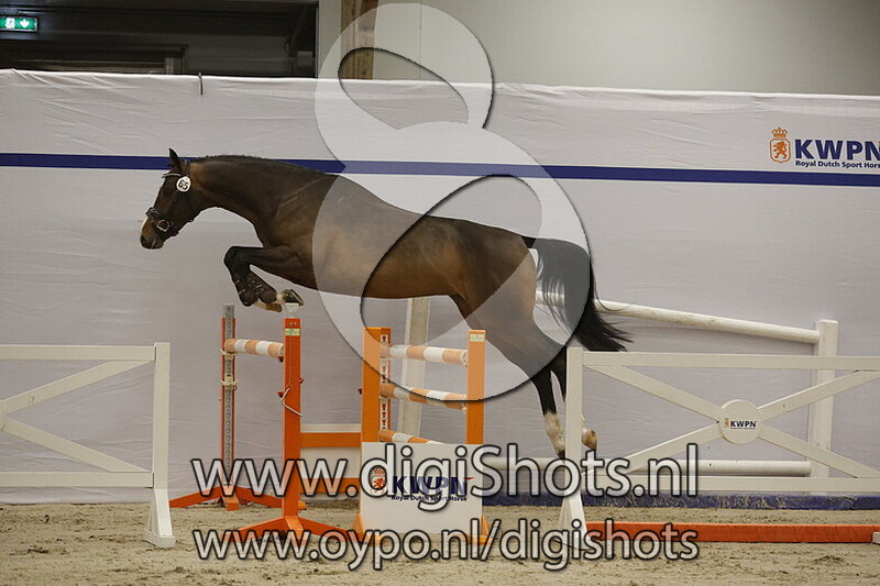 Sky High v. Donthargos